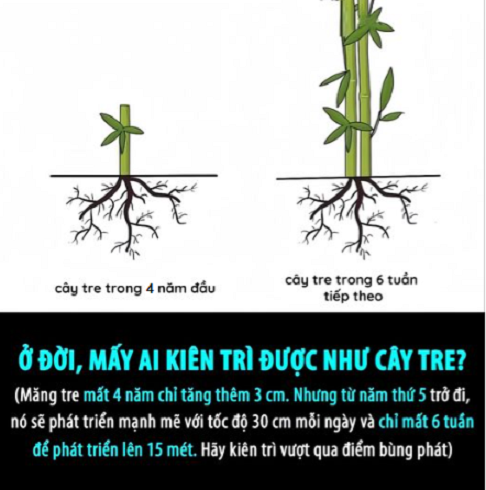 Thành quả sẽ đến khi bạn đủ kiên trì